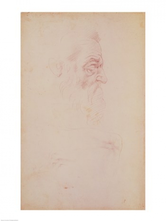 Picture of Posterazzi BALXIR80144LARGE Sketch of A Male Head & Two Legs Poster Print by Michelangelo Buonarroti - 24 x 36 in. - Large