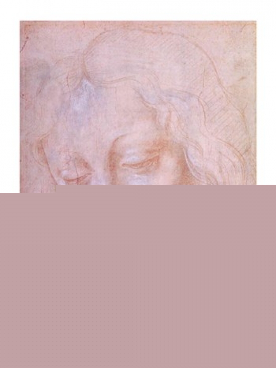 Head of A Woman Poster Print by Leonardo Da Vinci - 24 x 36 in. - Large