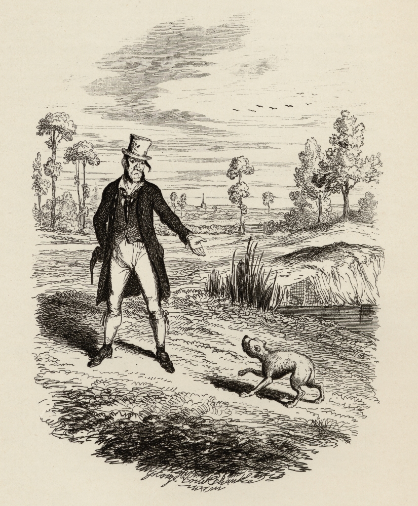 Sikes Attempting to Destroy His Dog From the Book the Adventures of Oliver Twist by Charles Dickens with Illustrations 1 Poster Print - 13 x 16