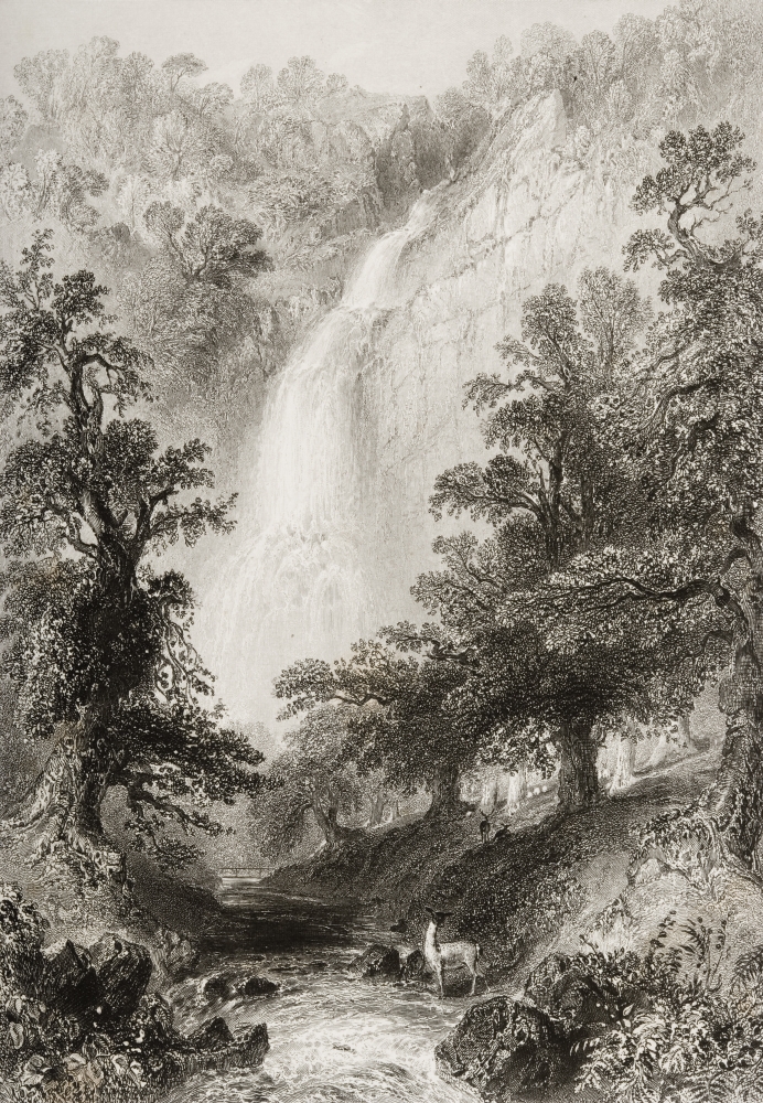 DPI1860366LARGE Powerscourt Fall County Wicklow Ireland Drawn by Whbartlett Engraved by J Cousen From the Scenery & Antiquiti Poster Print, 24 x 36
