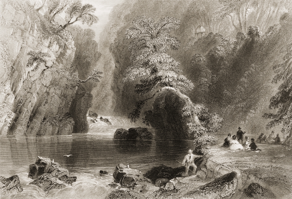 DPI1860391LARGE The Dargle County Wicklow Ireland Drawn by Whbartlett Engraved by Jcbentley From the Scenery & Antiquities O Poster Print, 36 x 24