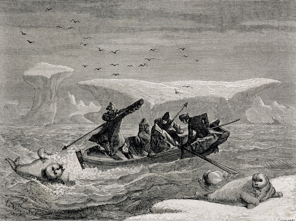 DPI1860669LARGE Hunting Walrus with Harpoons In the Spitsbergen Islands Svalbard Archipelago 19th Century Engraving Poster Print, 34 x 24
