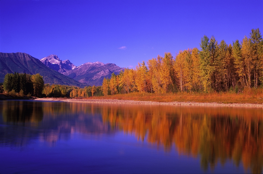 Elk River in Autumn with Three Sisters Mountain Range in The Background - Fernie British Columbia Canada Poster Print - 34 x 22 in. - Large