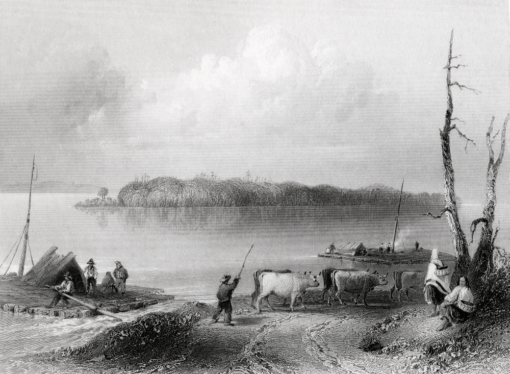 Navy Island Niagara River Ontario Canada From the Canada Side Engraved by C Cousen After W H Bartlett Poster Print, 34 x 24