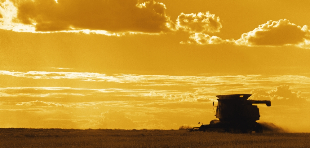 Field with Combine at Sunset Poster Print - 40 x 18 in. - Large
