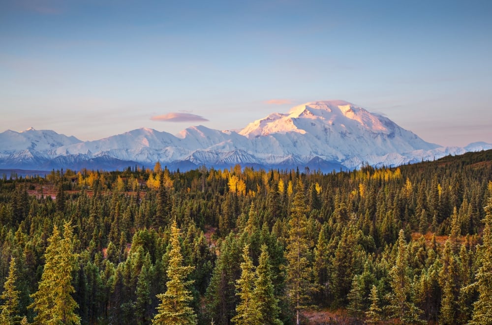 Early Morning Shot of The North Face of Mt Mckinley From Wonder Lake with Alpine Glow on The Upper Mountain in Denali Poster Print - 19 x 12 in.