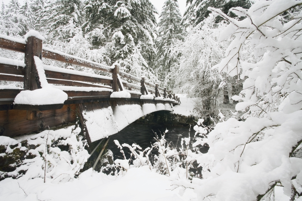Snowy Pedestrian Bridge Through Forest Poster Print - 19 x 12