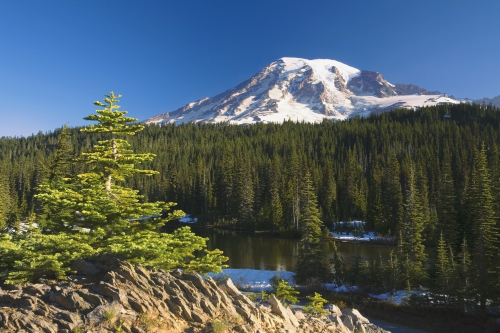 Snow-Capped Mountain - Washington USA Poster Print, 38 x 24
