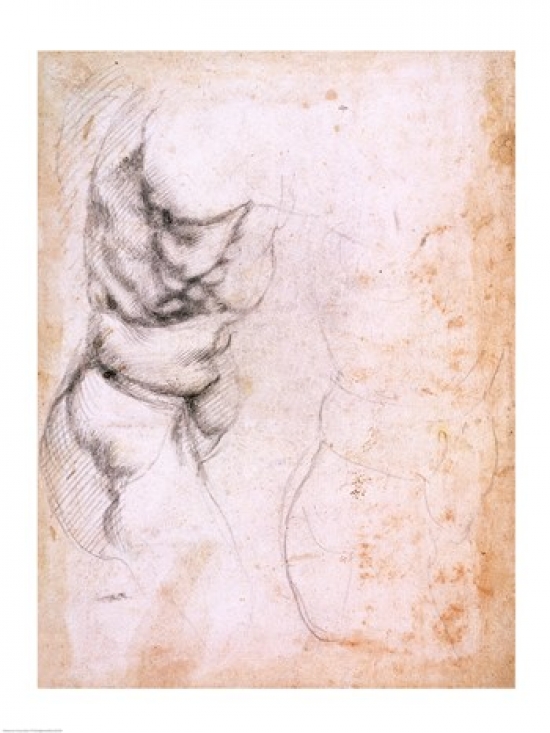 BALBAL192509 Study of Torso & Buttock Poster Print by Michelangelo Buonarroti - 18 x 24 in.