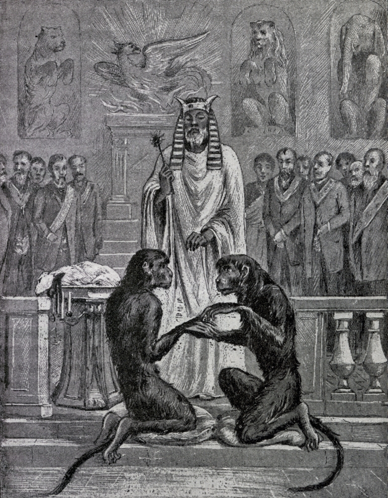 Sacrificing the Lamb During the Marriage of the Apes From the Book the Freemason Poster Print, 12 x 16