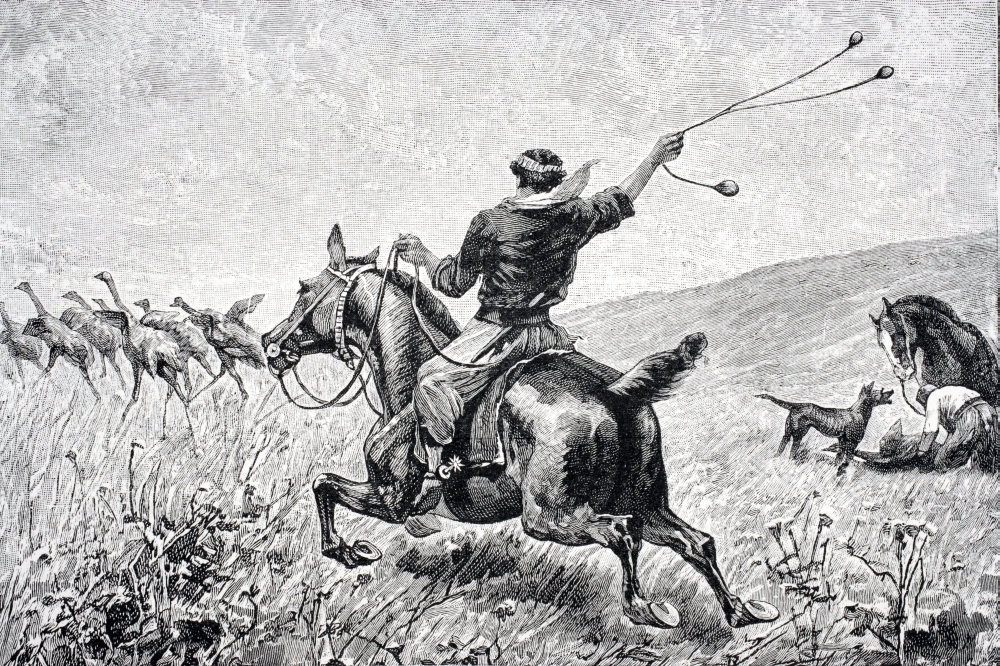 Throwing the Bolas Engraving From Journal of Researches by Charles Darwin Published by Nelson & Sons 1890 Poster Print, 34 x 22