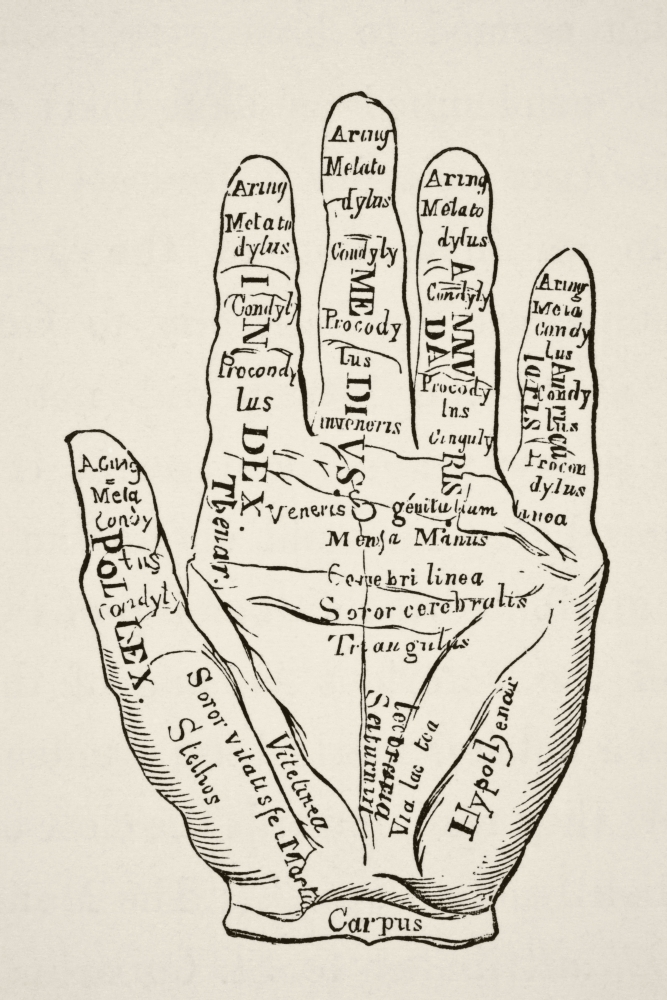 Specimen of the Left Hand with the Lines & Their Horoscopic Denominations From Science & Literature In the Middle A Poster Print, 22 x 34