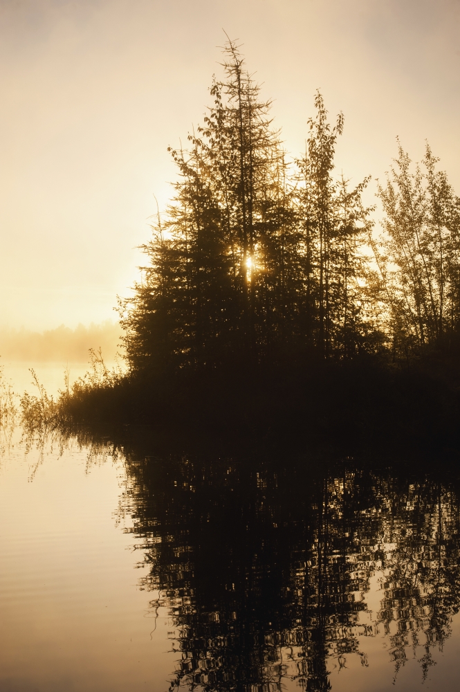 Sunset View of Trees Reflected in Chena Lake Delta Junction Interior Alaska Poster Print - 12 x 19 in.