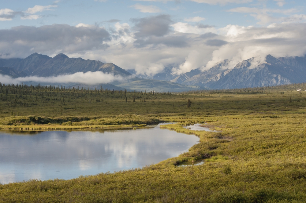 DPI12256934LARGE Scenic View Along Richardson Highway Interior Alaska Summer Poster Print - 38 x 24 in. - Large