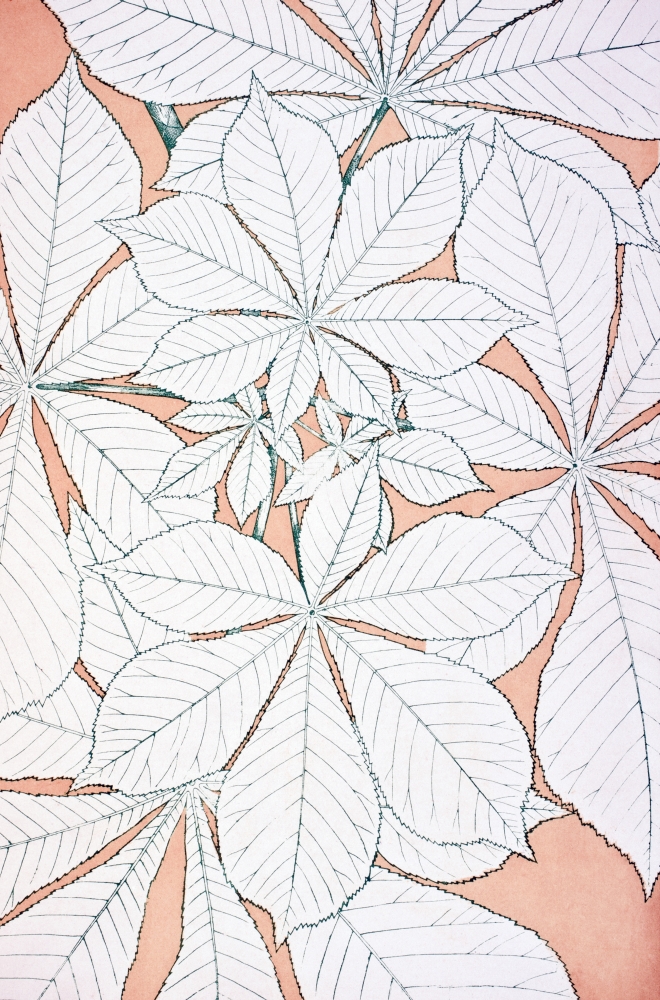 Leaves & Flowers From Nature No 1 Plate Xci From the Grammar of Ornament by Owen Jones Published by Day & Son London 1 Poster Print - 22 x 36