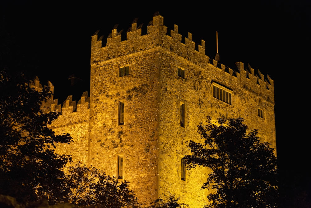 DPI12258729 Night Lights Illuminating Bunratty Castle with Silhouetted Trees & Black Sky - Bunratty County Clare Ireland Poster Print - 19 x 12 in.
