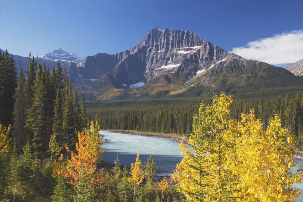 DPI1866129LARGE Athabasca River In Autumn Jasper National Park Alberta Canada Poster Print, 38 x 24