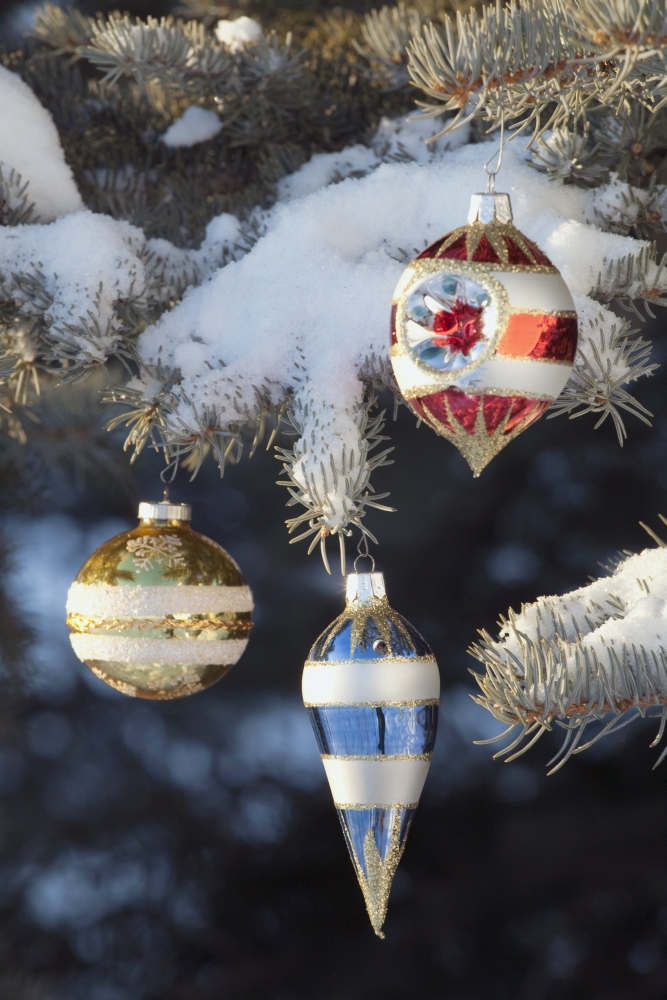 Christmas Ornaments Poster Print, 24 x 38