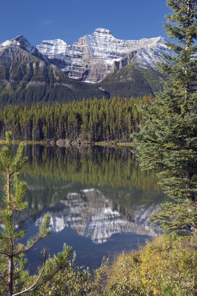 Banff National Park Alberta Canada - Reflection of A Mountain In Herbert Lake Poster Print