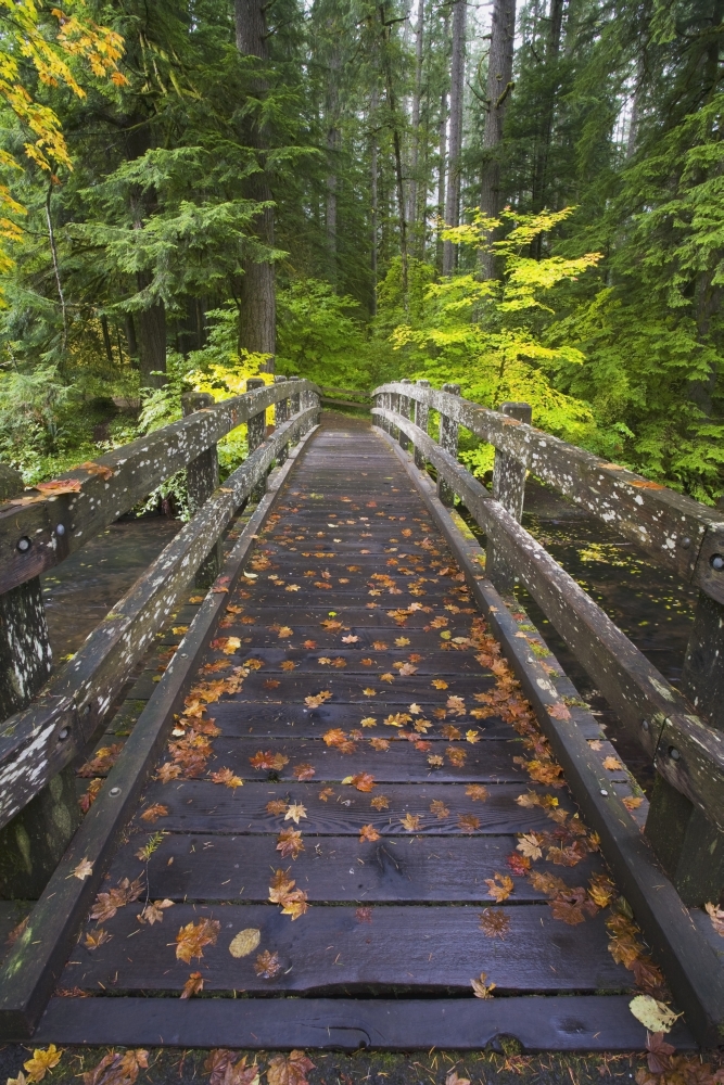 Bridge In A Park Poster Print, 12 x 19