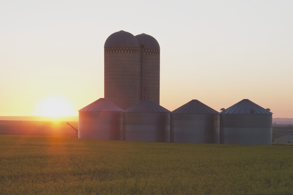 Alberta Canada - Grain Bins At Sunrise Poster Print, 38 x 24