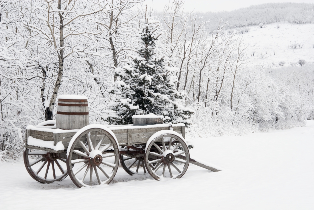 Alberta Canada - Wooden Wagon & Trees Covered In Snow Poster Print