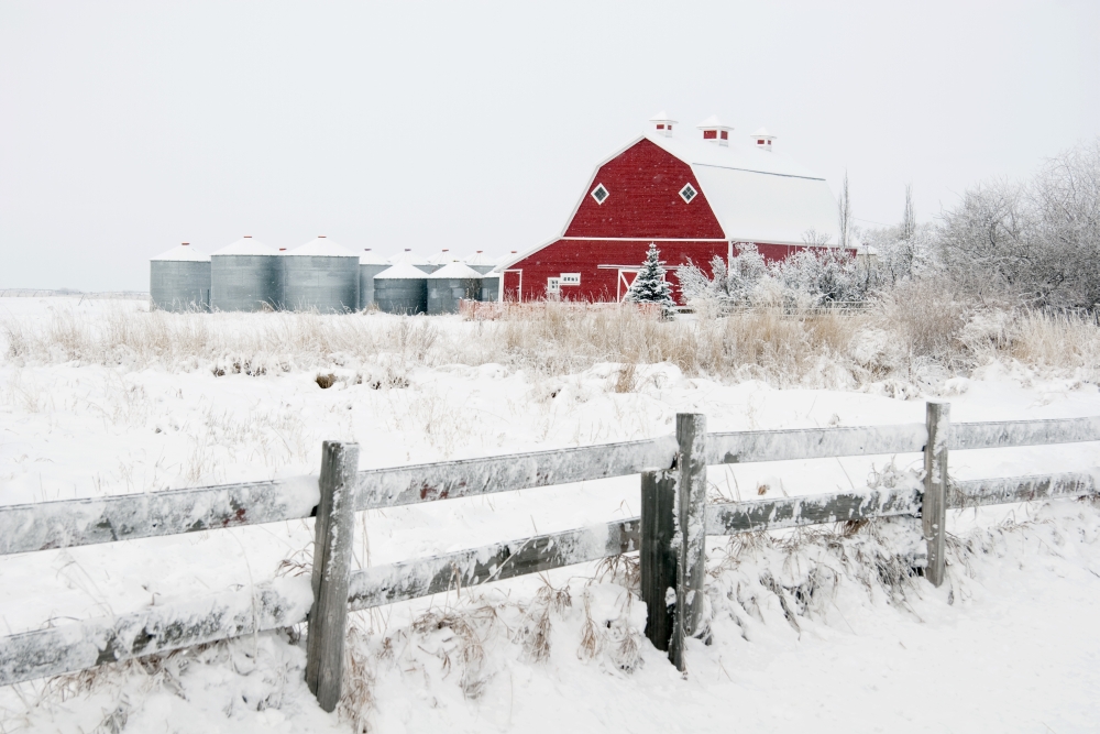 DPI1866842LARGE Alberta Canada - Farm Yard with A Red Barn & Metal Grain Bins In Winter Poster Print, 38 x 24