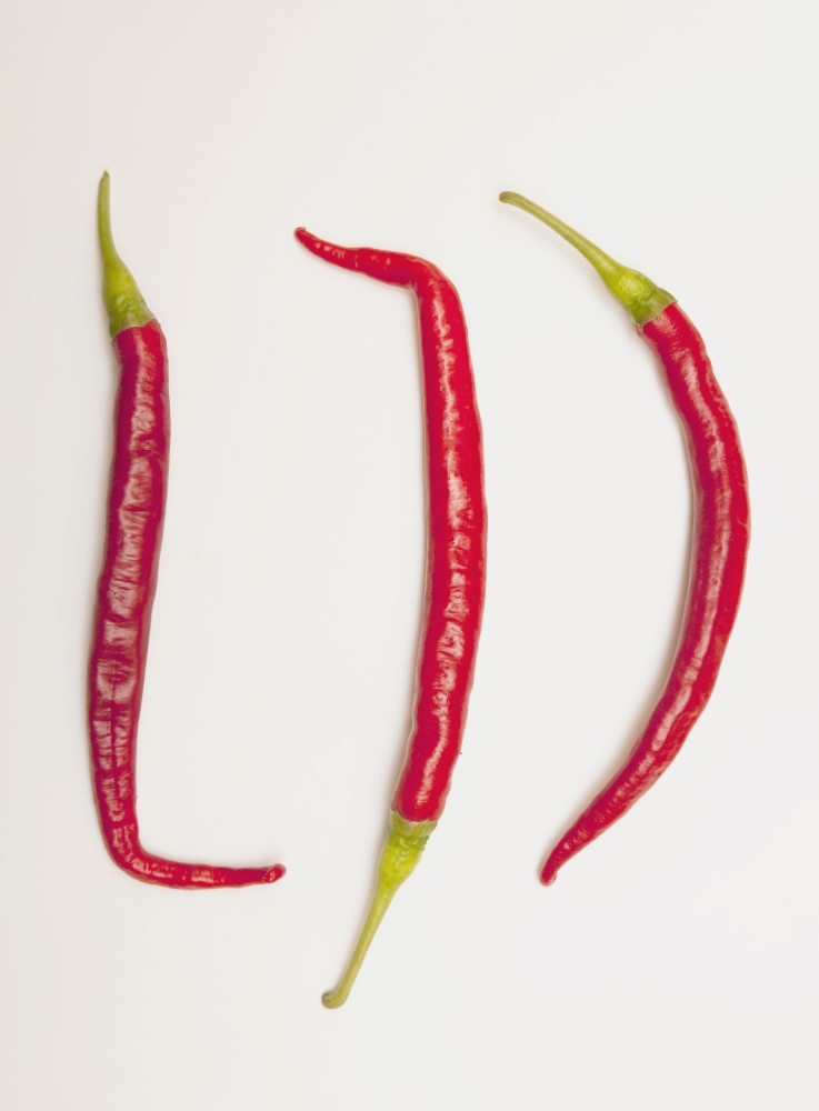 Three Red Jalapeno Peppers Poster Print - 13 x 18