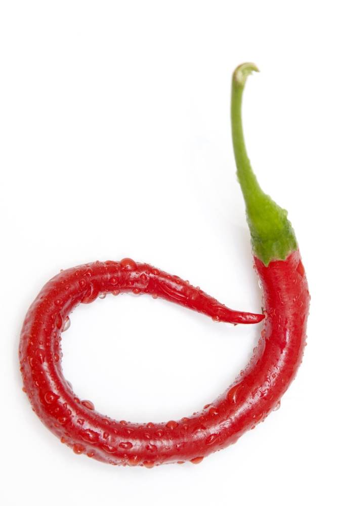 A Red Jalapeno Pepper That Has Curled Poster Print - 12 x 19