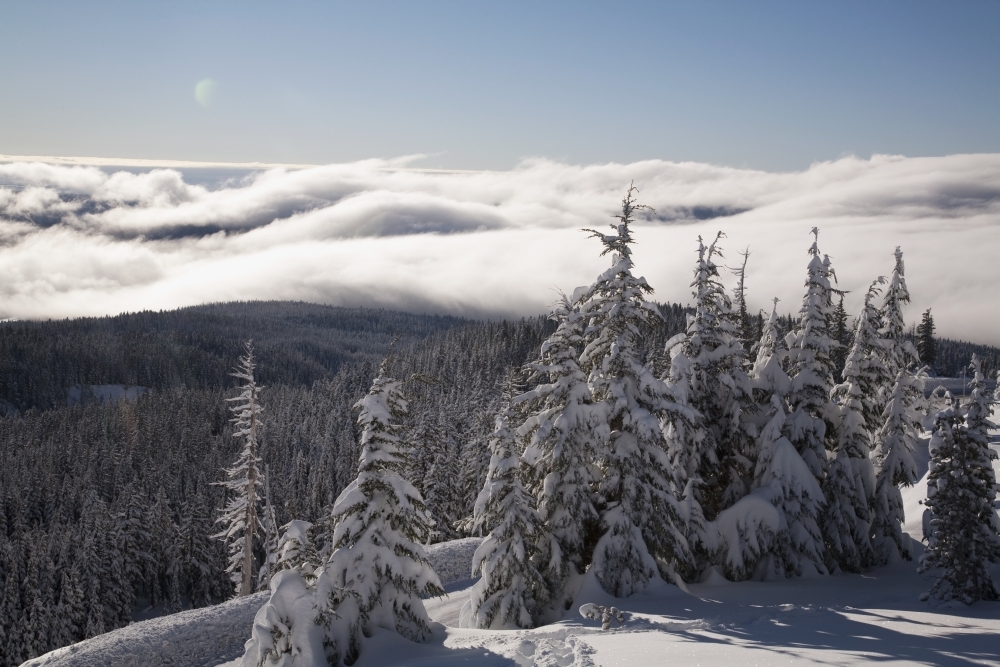 Mountain During Winter Poster Print, 38 x 24