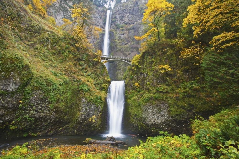 DPI1870513LARGE Waterfalls Falling Into A Pool of Water In A Forested Area Poster Print, 38 x 24