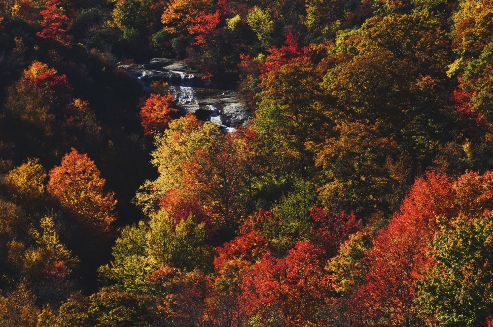 Blue Ridge Parkway North Carolina United States of America - Second Falls of the Yellowstone Prong & Autumn Colors At 3 Poster Print, 38 x 24