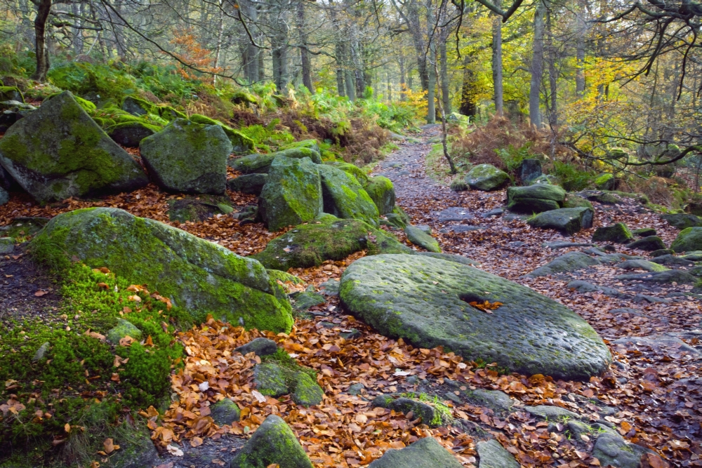 DPI1868991 An Abandoned Millstone Along A Path In Peak District National Park In Autumn - Derbyshire England Poster Print, 19 x 12