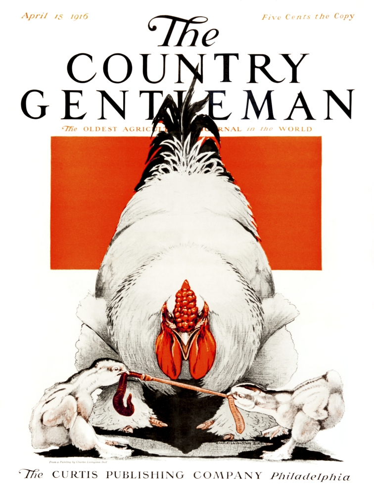 DPI12272316 Cover of Country Gentleman Agricultural Magazine From The Early 20th Century Poster Print - 13 x 17 in -  Posterazzi