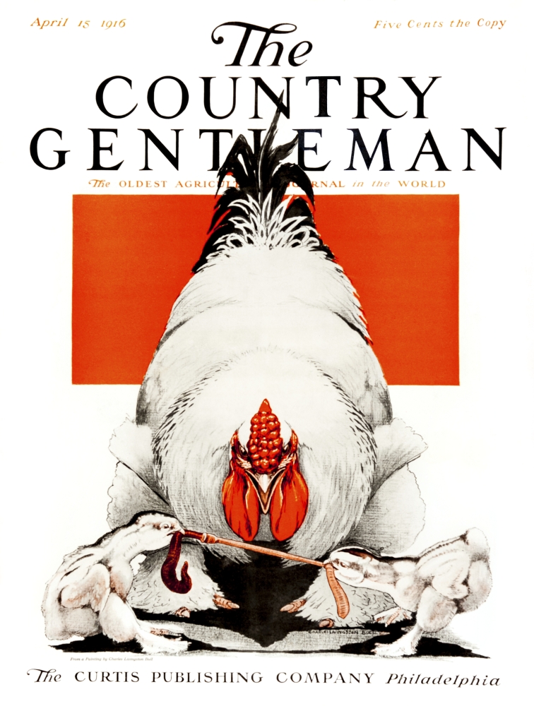 DPI12272316 Cover of Country Gentleman Agricultural Magazine From The Early 20th Century Poster Print - 13 x 17 in.