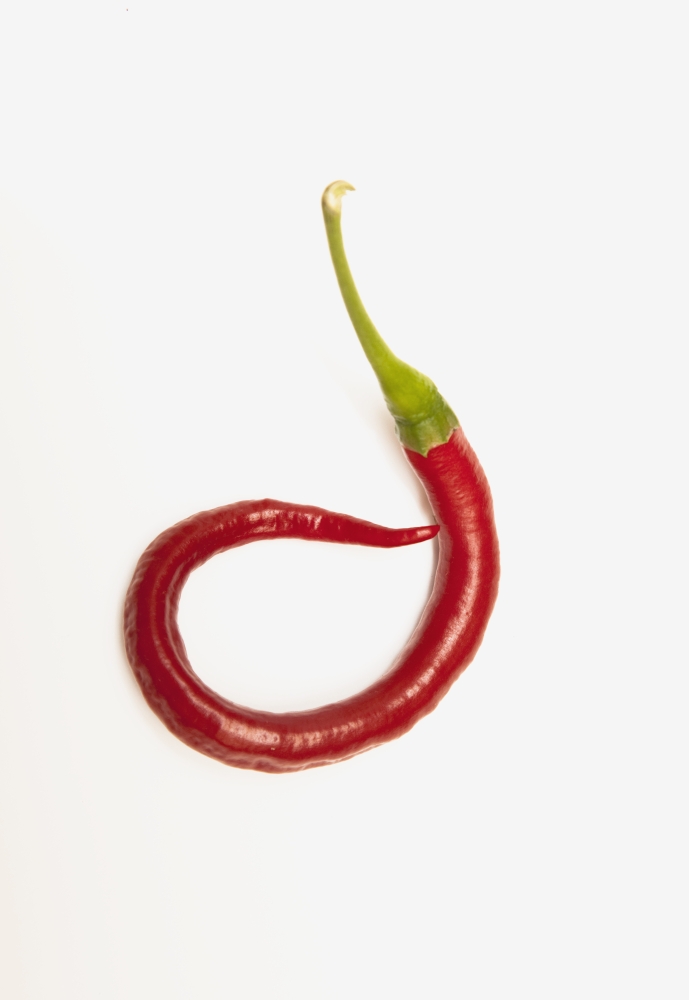 A Red Jalapeno Pepper That Has Curled Poster Print - 12 x 18