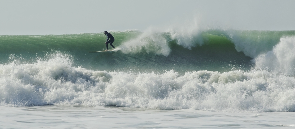 DPI1870084 Surfer Up on A Wave Poster Print, 32 x 14