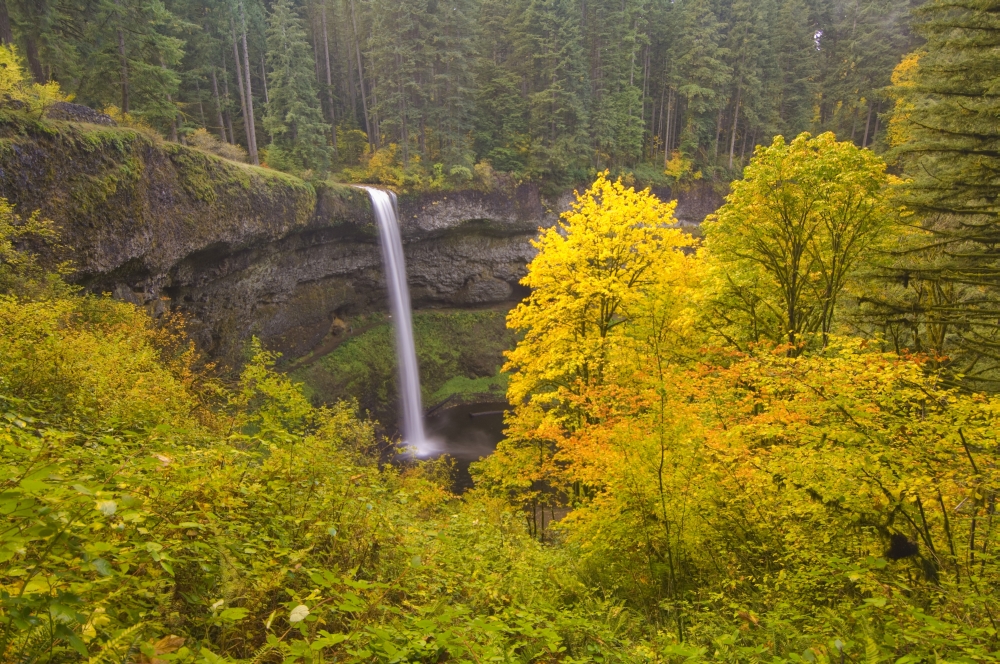 Oregon United States of America - South Silver Falls In the Autumn In Silver Falls State Park Poster Print