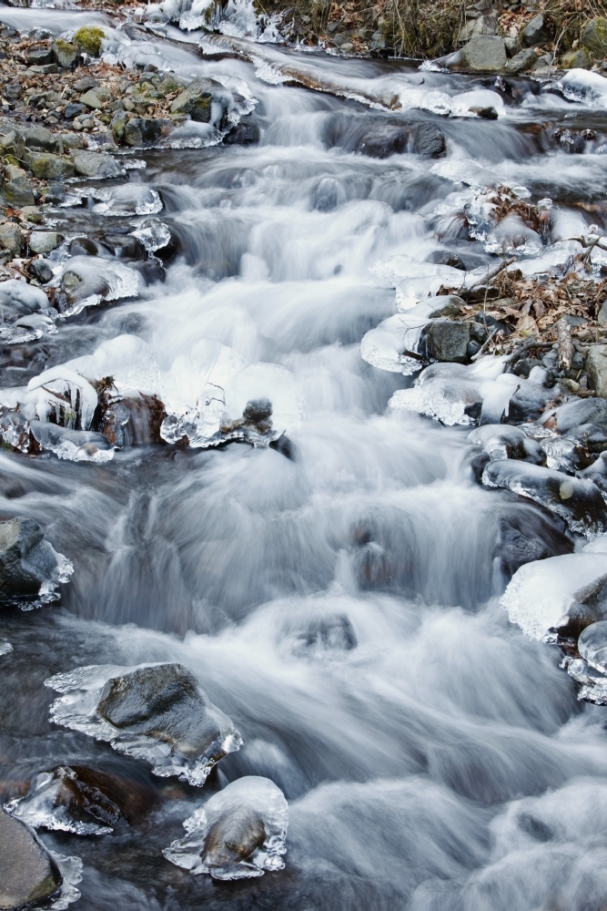 DPI1871401 Columbia River Gorge National Scenic Area Oregon United States of America - A Creek Flowing In the Winter Poster Print, 12 x 19