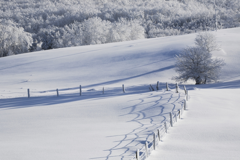 A Snowy Field Poster Print - 38 x 24