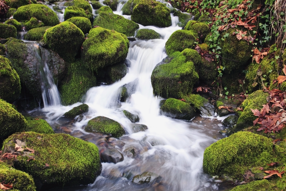 DPI1871949LARGE Happy Valley Oregon United States of America - Green Moss on the Rocks Along A Small Waterfall Poster Print, 38 x 24