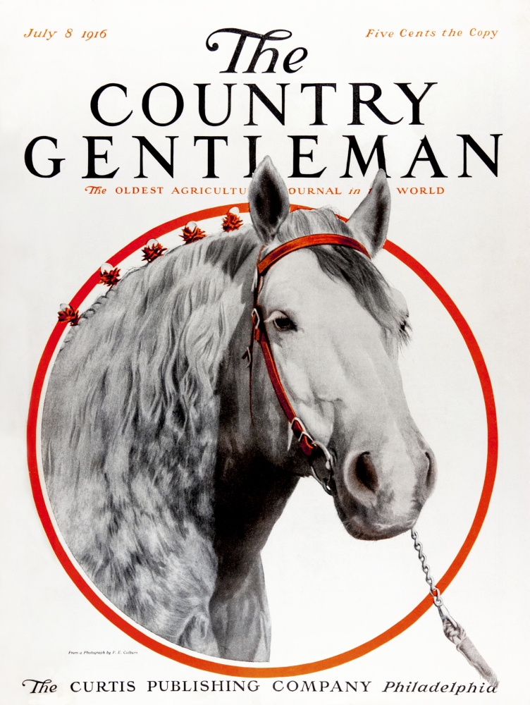 DPI12272372 Cover of Country Gentleman Agricultural Magazine From The Early 20th Century Poster Print - 13 x 17 in.