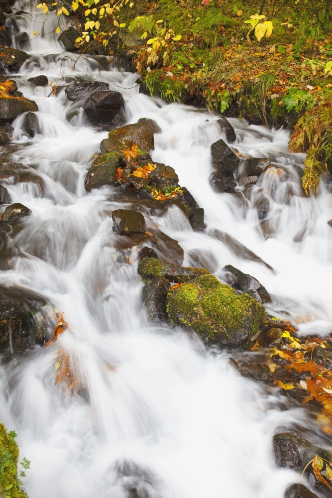 Water Cascading Down A Hill Poster Print - 12 x 19