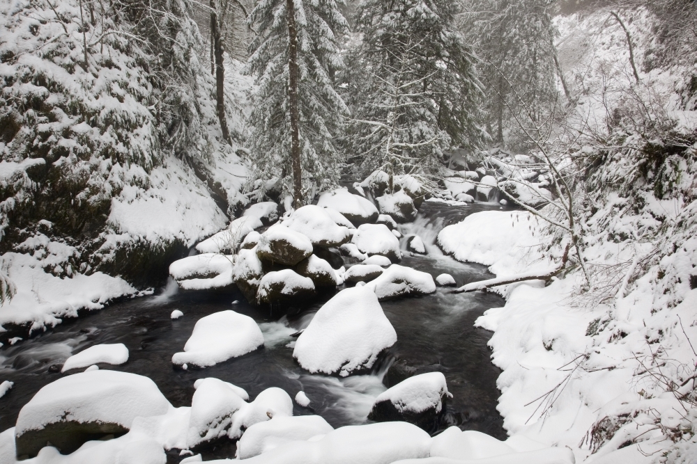 Columbia River Gorge National Scenic Area Oregon United States of America - Snow Covering the Ground & Rocks In A Cre 1 Poster Print, 19 x 12