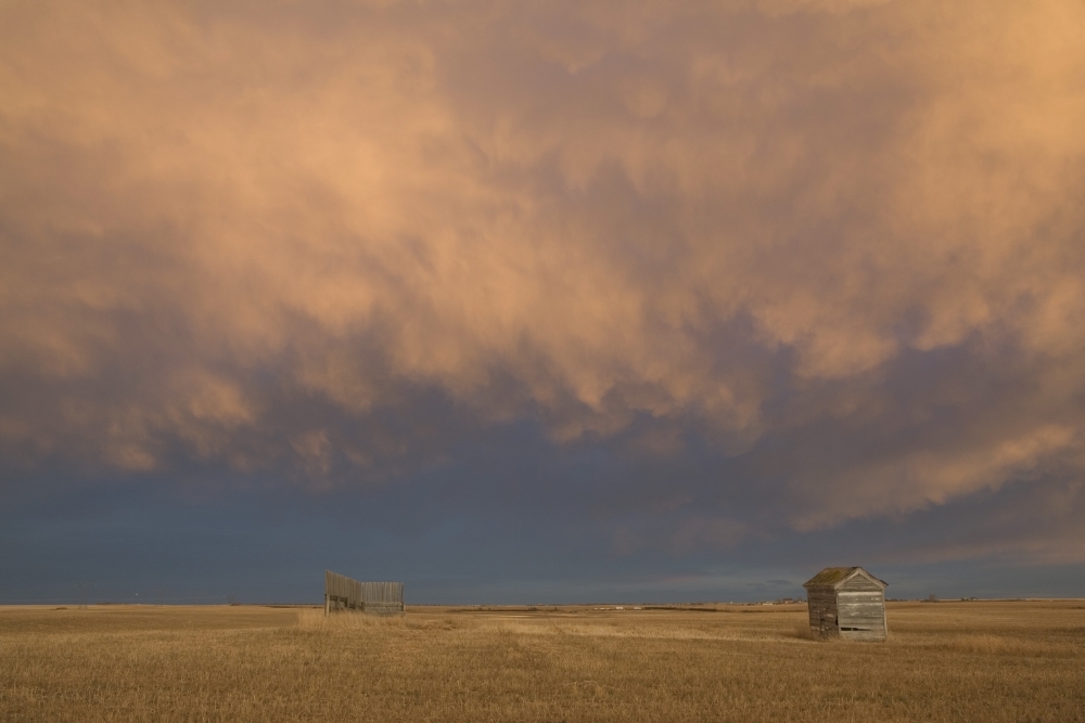 Alberta Canada - A Wooden Shack on A Cut Wheat Field with A Dramatic Cloudy Sky At Sunset Poster Print