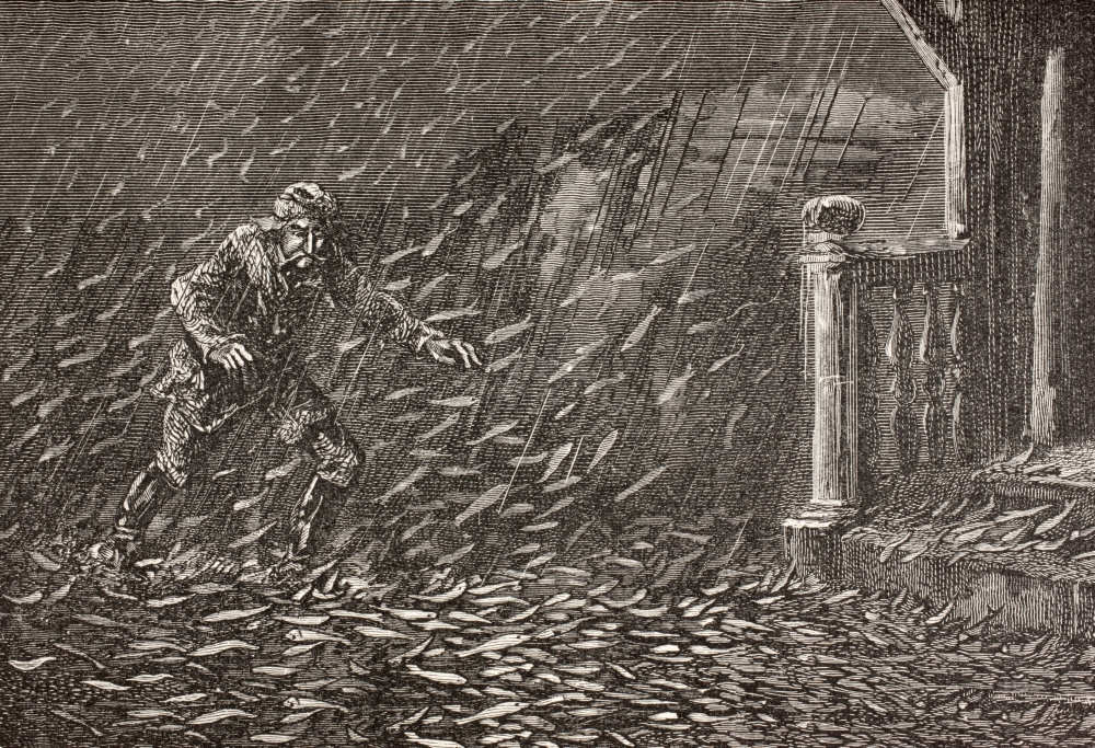 A Shower of Fish In Transylvania - Romania From The Book Chips From The Earths Crust Published 1894 Poster Print