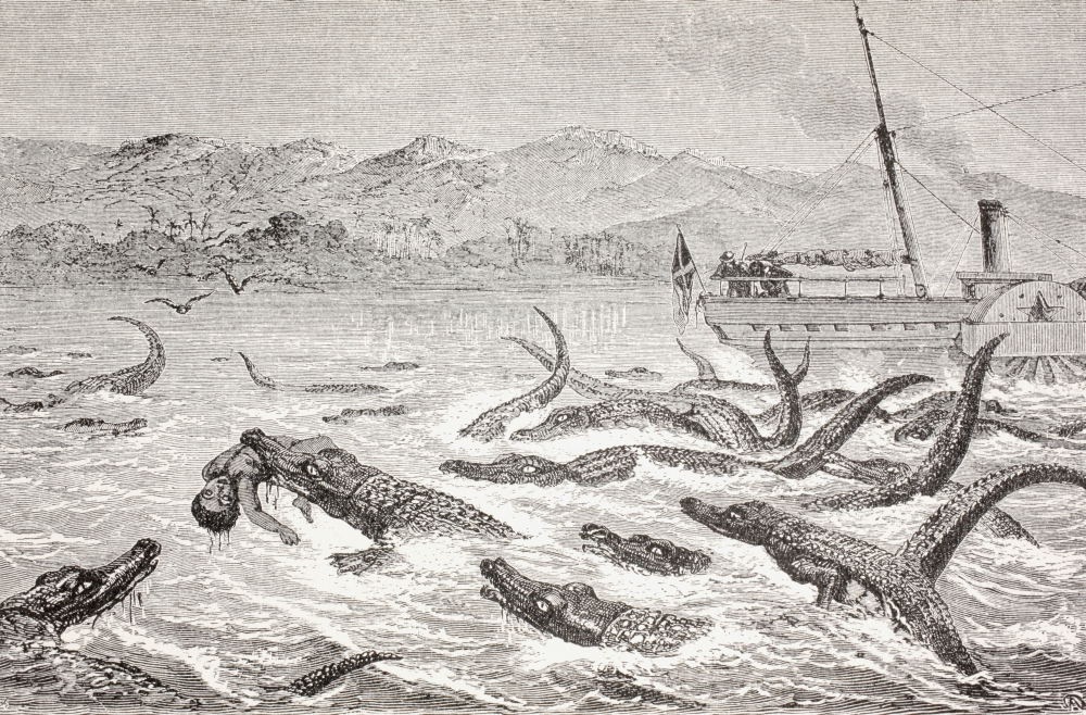 Picture of Crocodiles Take A Man In The Nile River In The Late 19th Century From Afrika, Dets Opdagelse, Erobring Og Kolonisation Published In Copenhagen, 1901 Poster Print, 36 x 22 - Large