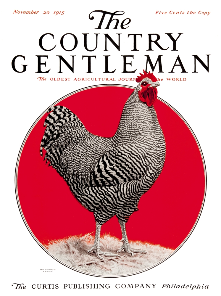 DPI12272490 Cover of Country Gentleman Agricultural Magazine From The Early 20th Century Poster Print - 13 x 17 in.