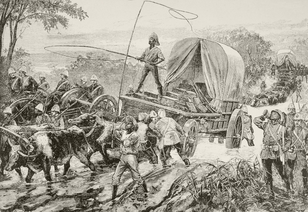 Picture of Posterazzi British Army Supply Wagons Drawn By Oxen Teams Cross A River During The Anglo-Zulu War From Afrika, Dets Opdagelse, Erobring Og Kolonisation Published In Copenhagen, 1901