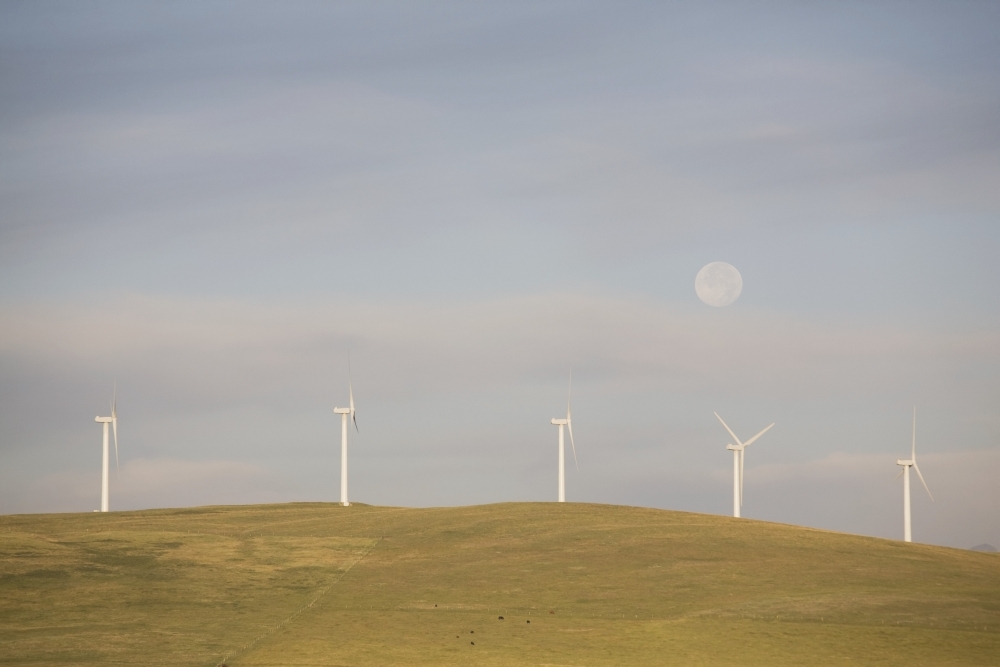 DPI1873172LARGE Pincher Creek, Alberta, Canada - Wind Turbines On A Hillside with The Moon In The Sky Poster Print, 38 x 24 - Large